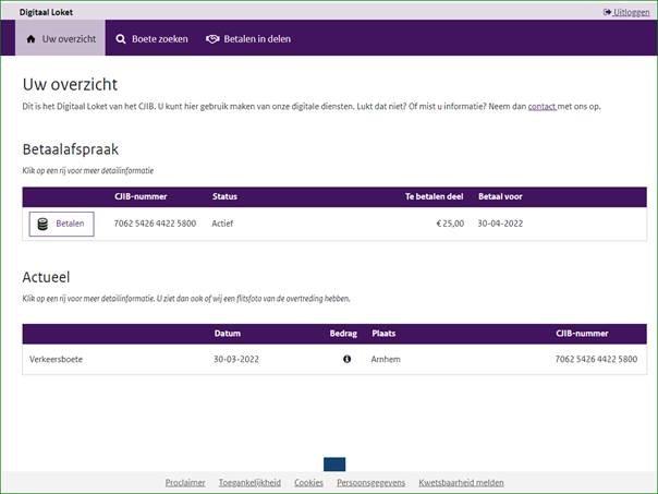 Screenshot vernieuwd Digitaal Loket