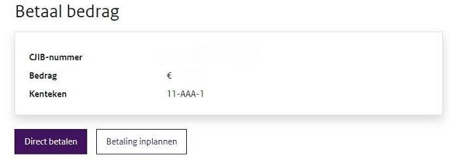 Betaling inplannen in Digitaal Loket